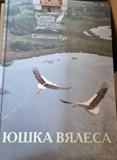 Юшка Вялёса. Аповесць