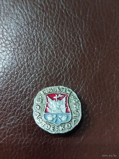 Значок золотое кольцо Галич