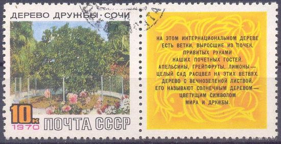 СССР 1970 Сочи дерево Дружбы