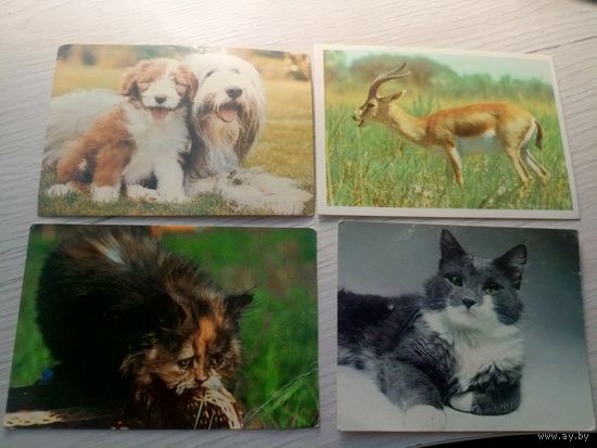 Календарики одним лотом