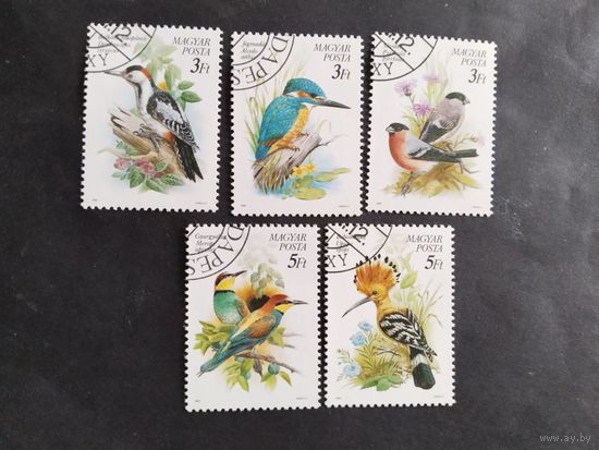 Венгрия  1980  5 м     птицы