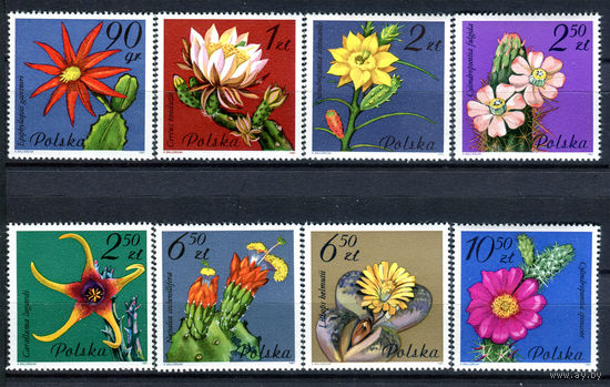 Польша - 1981г. - Цветы - суккуленты - полная серия, MNH, 1 марка с незначительным дефектом клея [Mi 2784-2791] - 8 марок