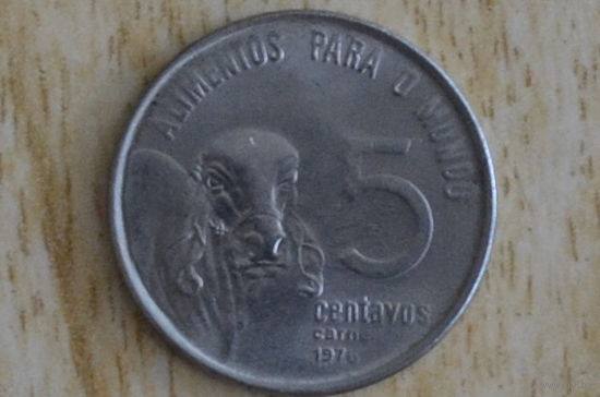 Бразилия 5 сентаво 1976