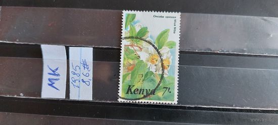 КЕНИЯ 1985г. Гаш.