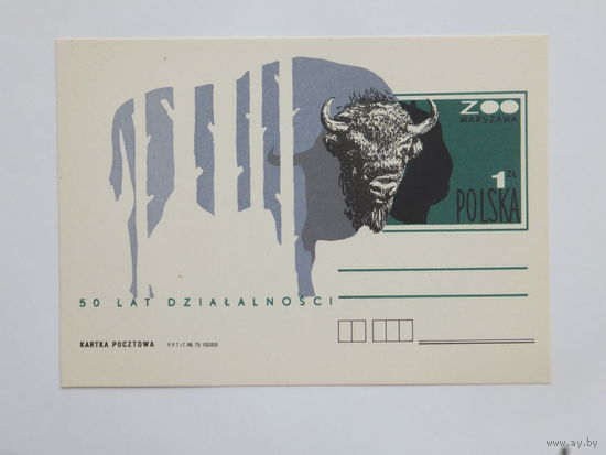 ПК Зубр Польша 1979  10х15 см