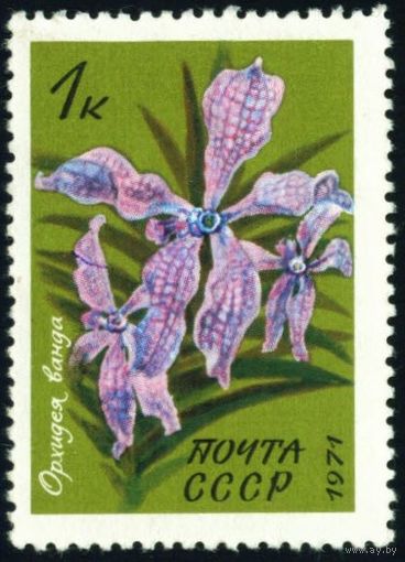 Тропические и субтропические растения СССР 1971 год 1 марка