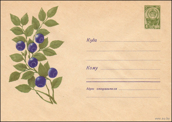 Художественный маркированный конверт СССР  N 3292 (31.07.1964) Рисунок ягод черники