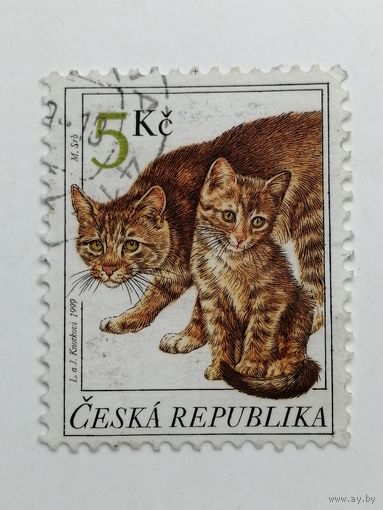 Чехия 1999. Коты.