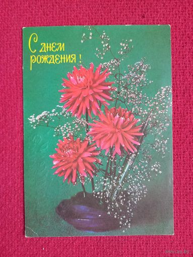 С Днем Рождения! Самсоненко 1993 г.