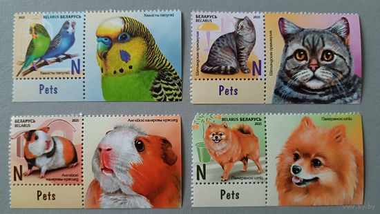 Домашние питомцы. Беларусь, 2025. Полная серия с купонами