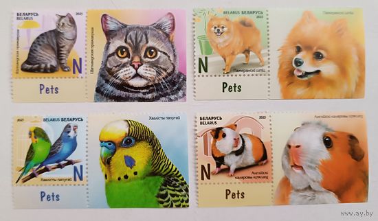 Домашние питомцы. Беларусь, 2025. Полная серия с купонами