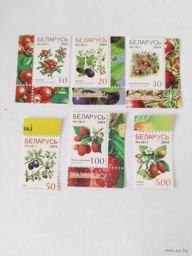 Беларусь 2004 6 м ягоды