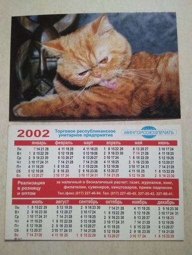 Карманный календарик. Котик. Мингорсоюзпечать. 2002 год