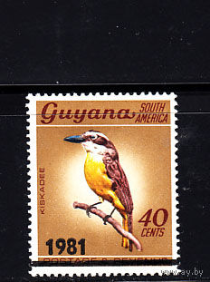 Фауна. Птица. Гайана. 1981. 1 марка. Michel N 634  (14.0 е)