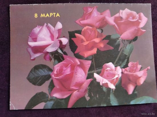 8 Марта Б. Круцко 1989 Раскладушка Подписана