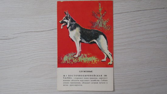 Открытка