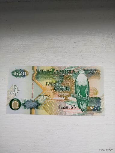 20 квача Замбия.