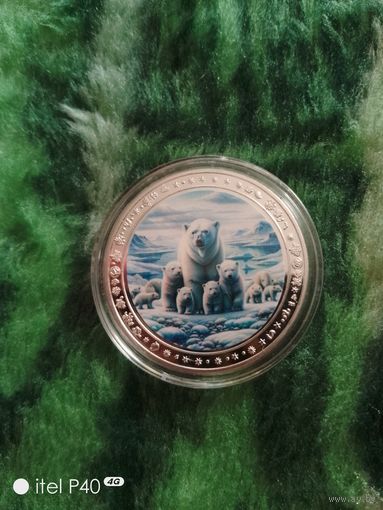 Серия медведи Арктика