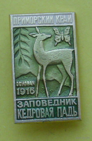 Заповедник " Кедровая Падь ". Б-48.