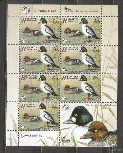 ФФ1 Беларусь 2016 Гоголь