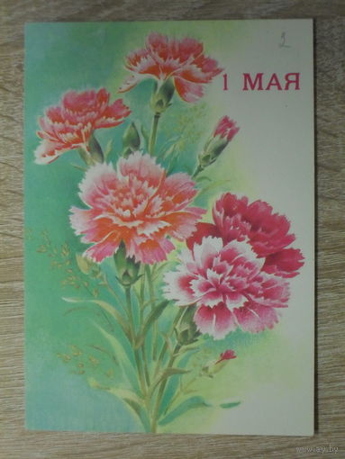 ПОДПИСАННАЯ ОТКРЫТКА СССР.  "1 МАЯ" худ. В. ДЕРГИЛЕВА. 1990 год.