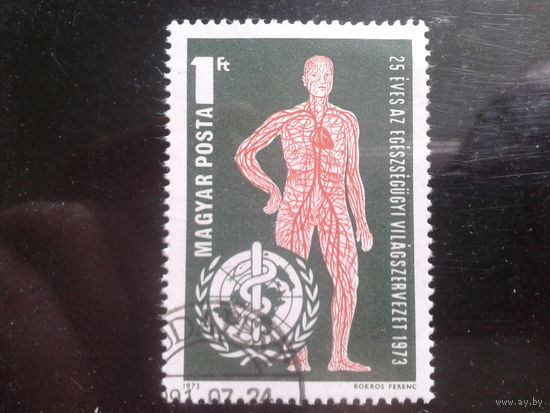Венгрия 1973 Межд. мед. организация - 25 лет
