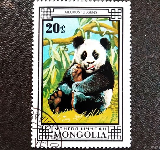 Марка Монголия 1974 год Фауна