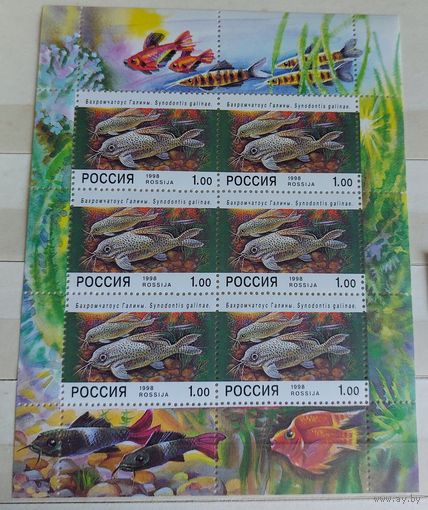 Россия 1998 Аквариумные рыбы