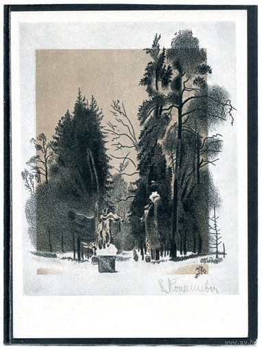 В.М.Конашевич. Павловск. Стапая Сильвия. Изд.1959