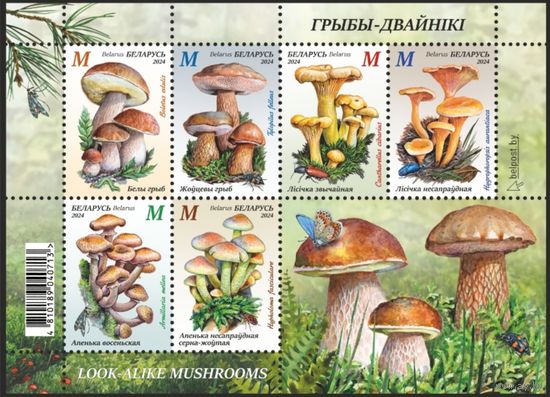 Грибы-двойники. Малый лист, 2024