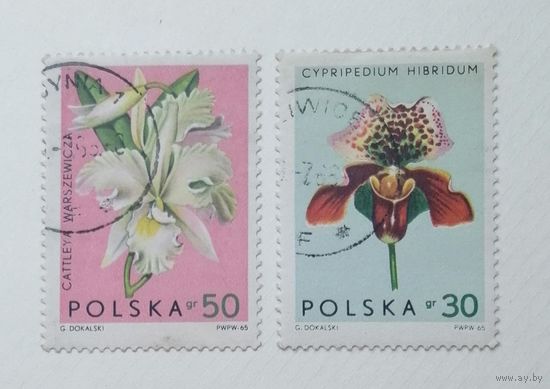 Польша 1965 / Флора / Цветы / 2 Марки