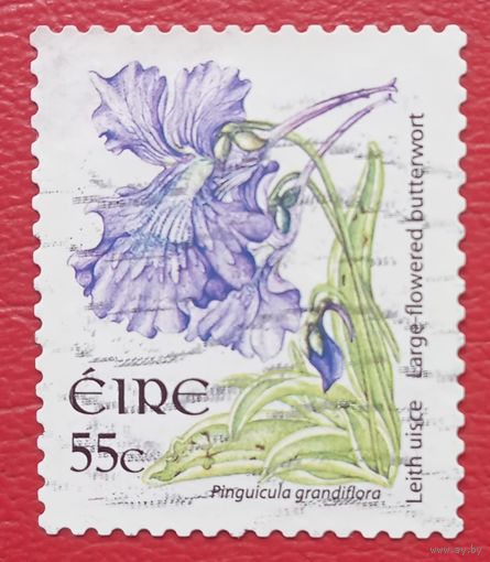 Ирландия, 2004 г., цветы