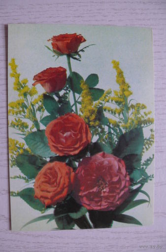 2 чистые ДМПК; Дергилев И.(фото), Розы; 1990, 1991.