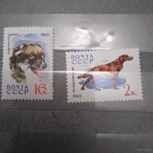 СССР, 1965,  СЛУЖНБ.** ПОРОДЫ СОБАК,  по 50 коп шт  2м**