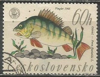 Чехословакия. Речной окунь. 1966г. Mi#1610.