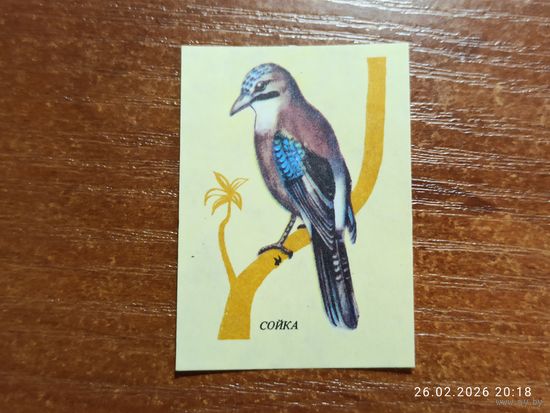 Спичечная этикетка Сойка