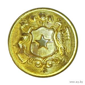 Чили ВС Мундирная пуговица 22 мм производитель LEIVA