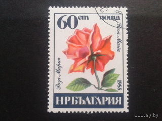 Болгария 1985 роза