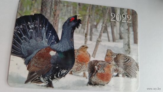 Календарик. Глухари. 2022 год.