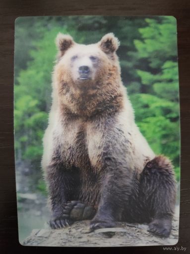 Календарик стерео 3 D Медведь 2022г