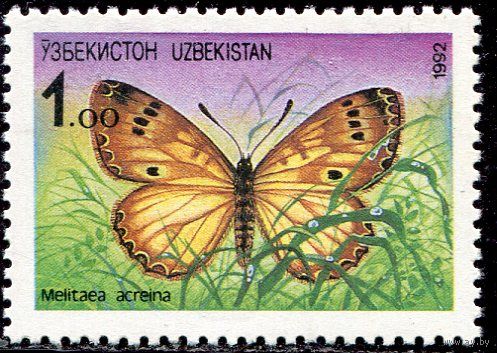 Узбекистан. Бабочка Шашечница атолия