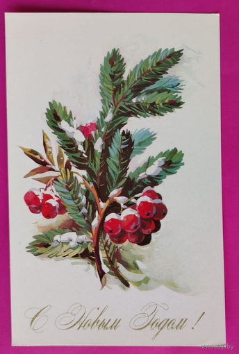 С новым годом! Чистая. 1977 года. Куртенко. 2455.