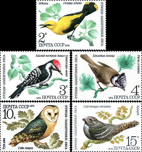 Птицы СССР 1979 год (5001-5005) серия из 5 марок