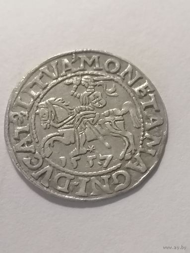 Полугрош  1557г.