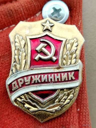 Знак ДРУЖИННИК
