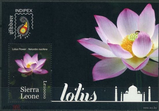 2011 Сьерра Леоне, цветы, лотос   MNH