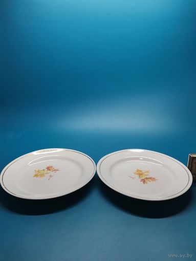 Тарелка СССР. ВФЗ. 71-81 год. (одним лотом).