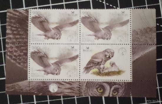 (Ф30-41) Беларусь. Птица года. 2005. Квартблок с купоном