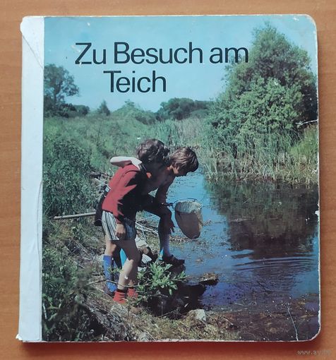 Zu Besuch am Teich