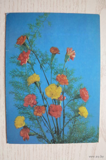 Шаров Ю., Композиция из цветов; 1986, двойная, чистая.